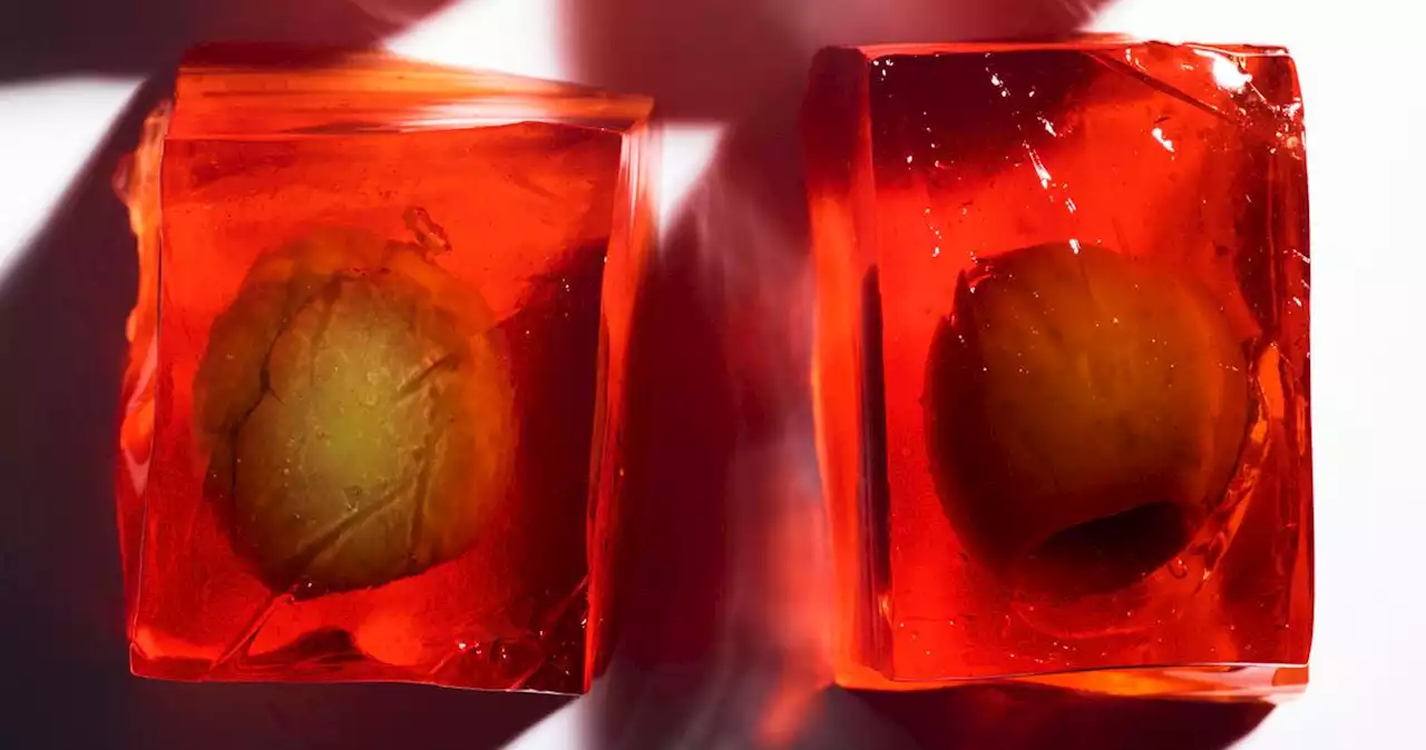 Olives Have Always Been Part of the Party. Now They Are the Party.