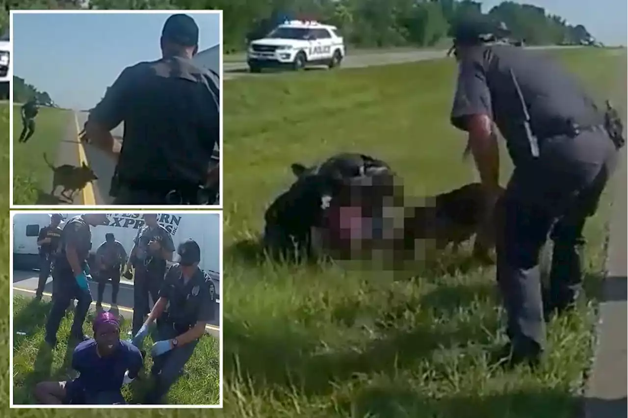 Shocking video shows Ohio cop unleashing K-9 on black trucker with hands up, mauling man