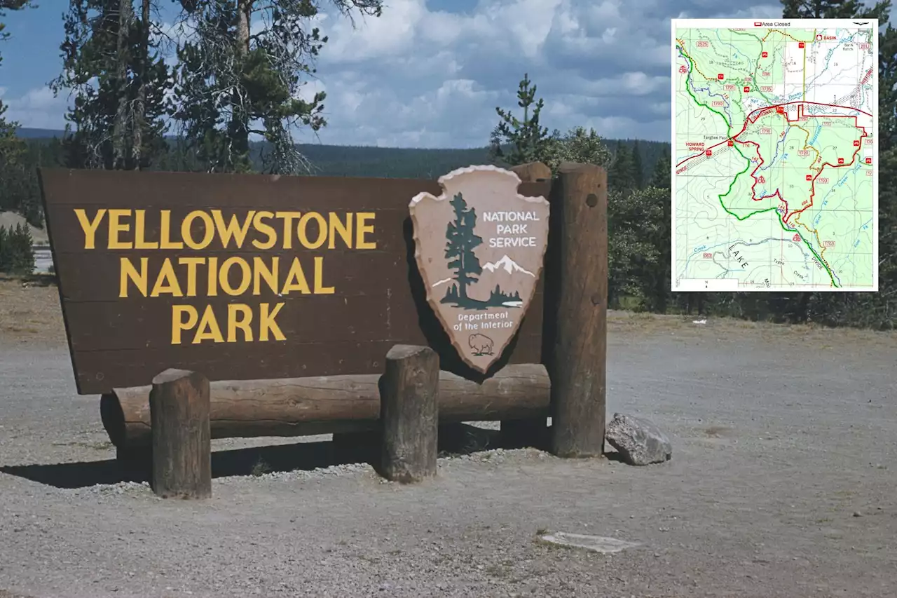 Woman found dead near Yellowstone National Park after ‘bear encounter’