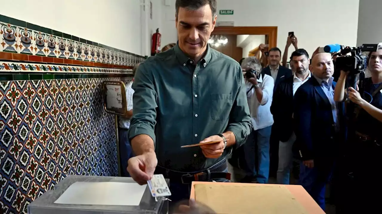 Alberto Fernández felicitó a Pedro Sánchez por su 'extraordinaria elección' | El presidente argentino celebró los resultados del progresismo en España