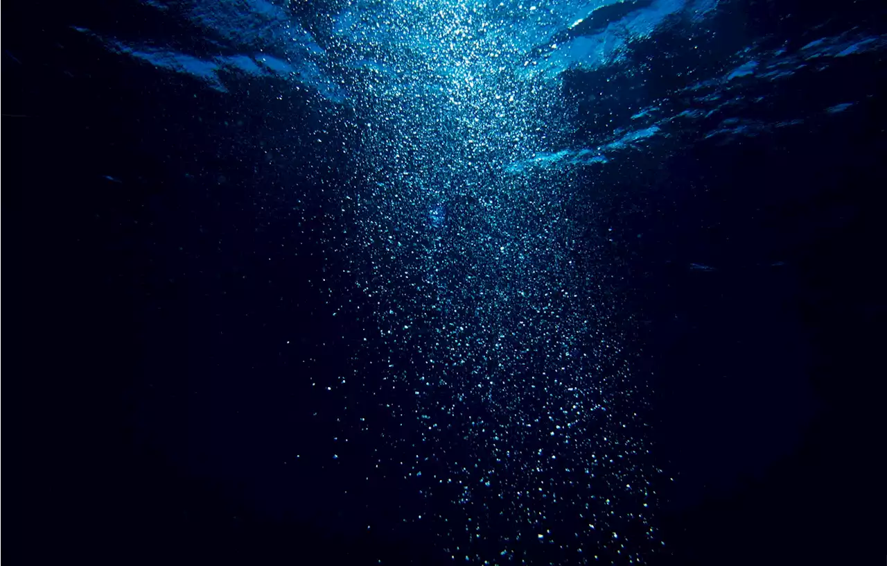 The key to bringing deep sea samples up to the coast? An underwater freezer.