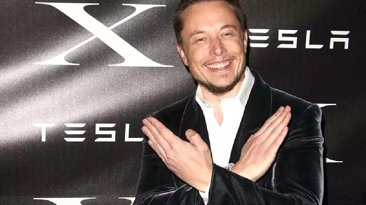 Elon Musk planea gran cambio en Twitter y mandaría a volar al pájaro azul - Pulzo