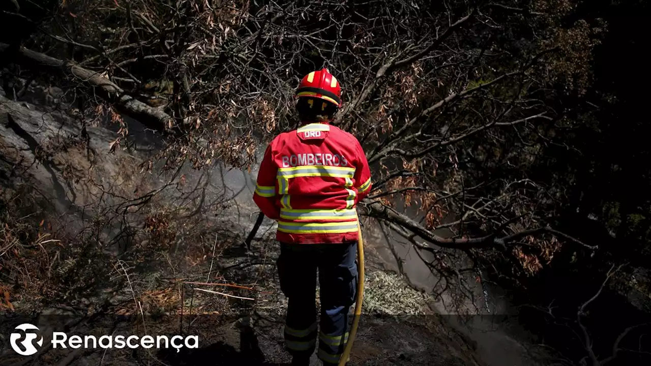 Calor. Mais de 40 concelhos em perigo máximo de incêndio - Renascença