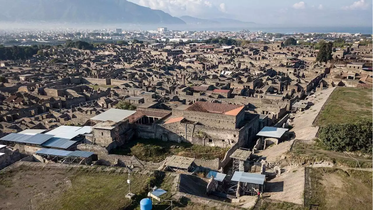 Biglietti fantasma, prezzi maggiorati. Dai concerti alle visite archeologiche: attenti alle truffe dei siti 'spenna-turisti'