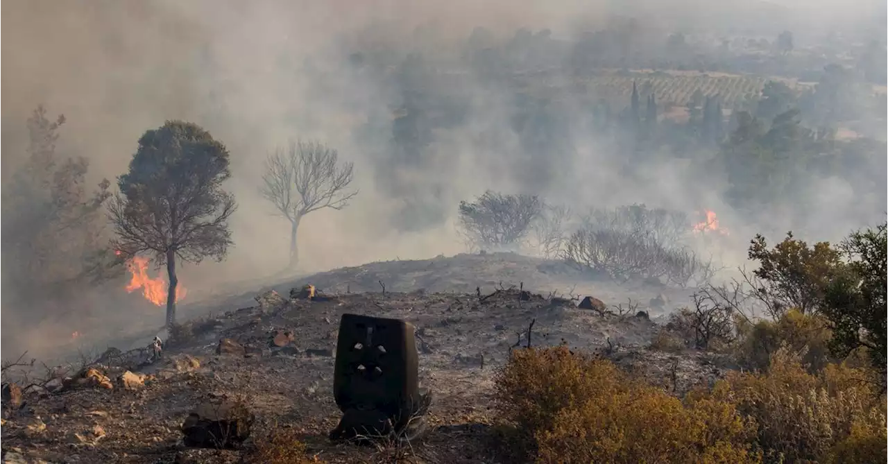 German government convenes crisis meeting over Rhodes wildfires