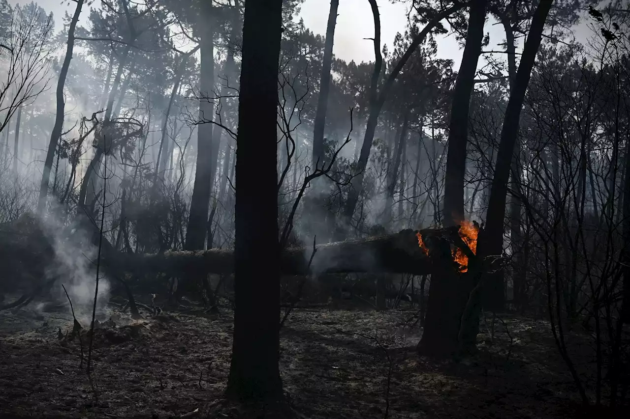 Incendie : ce que change l’alerte rouge déclenchée dans les Bouches-du-Rhône