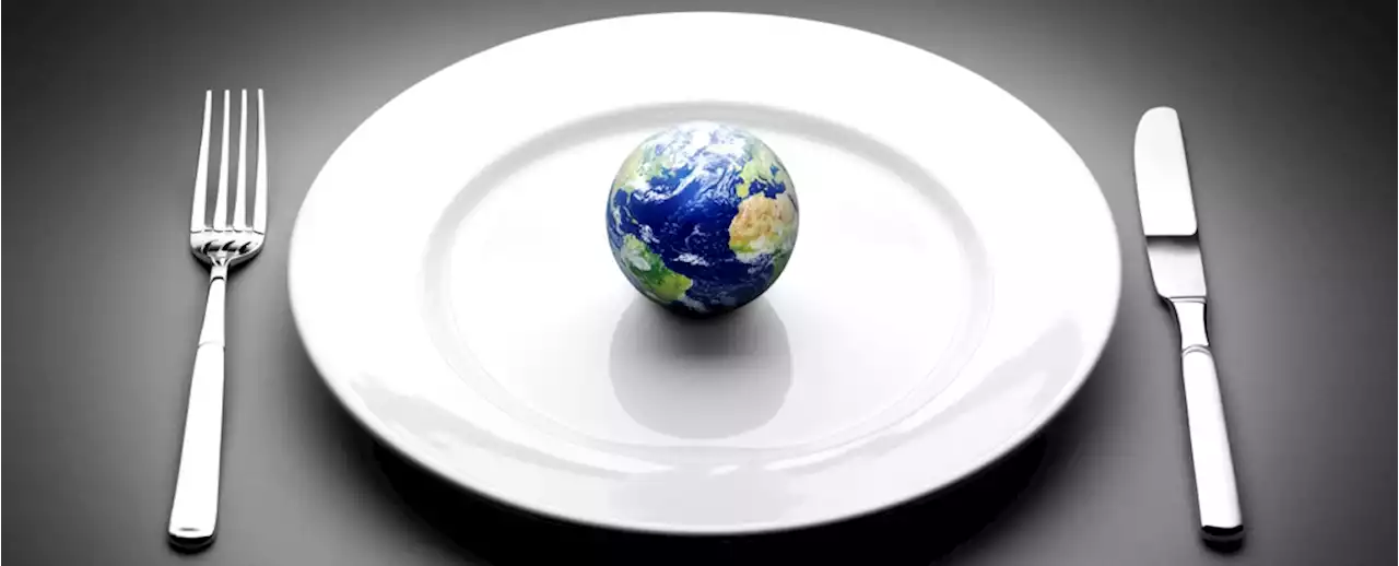 Oxford Scientists Confirm Vegan Diet Is Massively Better For Planet