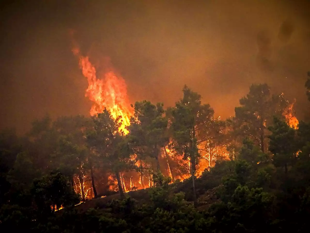 First flights due to rescue British holidaymakers fleeing Rhodes wildfires