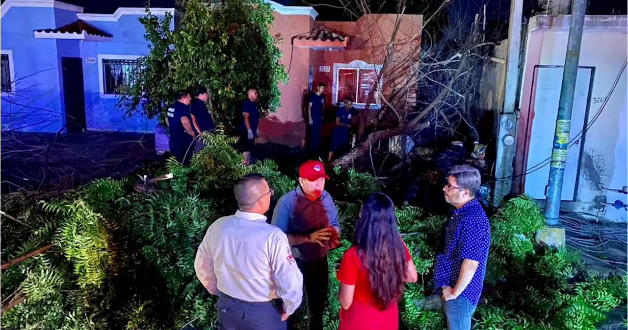 VIDEOS: Fuertes tormentas eléctricas dejan inundaciones y daños en Mazatlán, Sinaloa