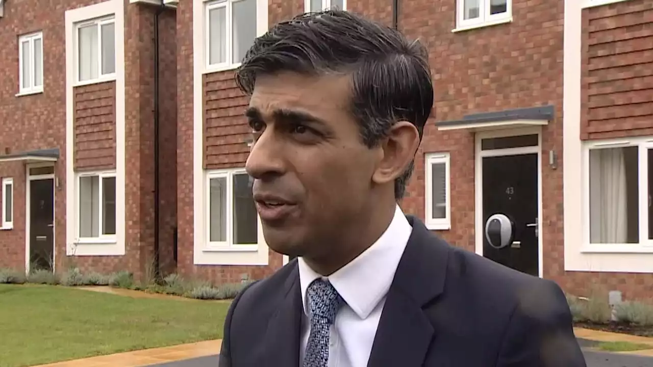 Rishi Sunak says climate targets must not impose 'unnecessary' costs