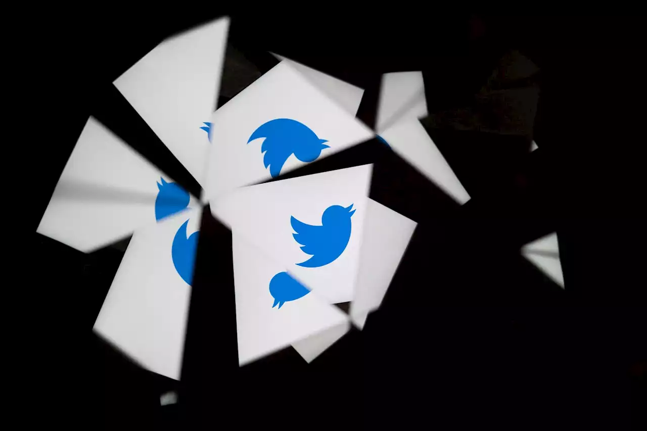 The Delusion Behind the New Name Elon Musk Is Giving Twitter