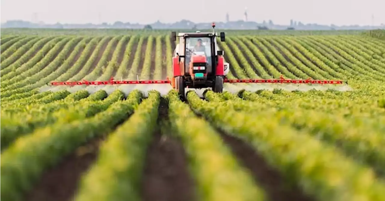 Nuovi parchi agrisolari, domande dal 12 settembre