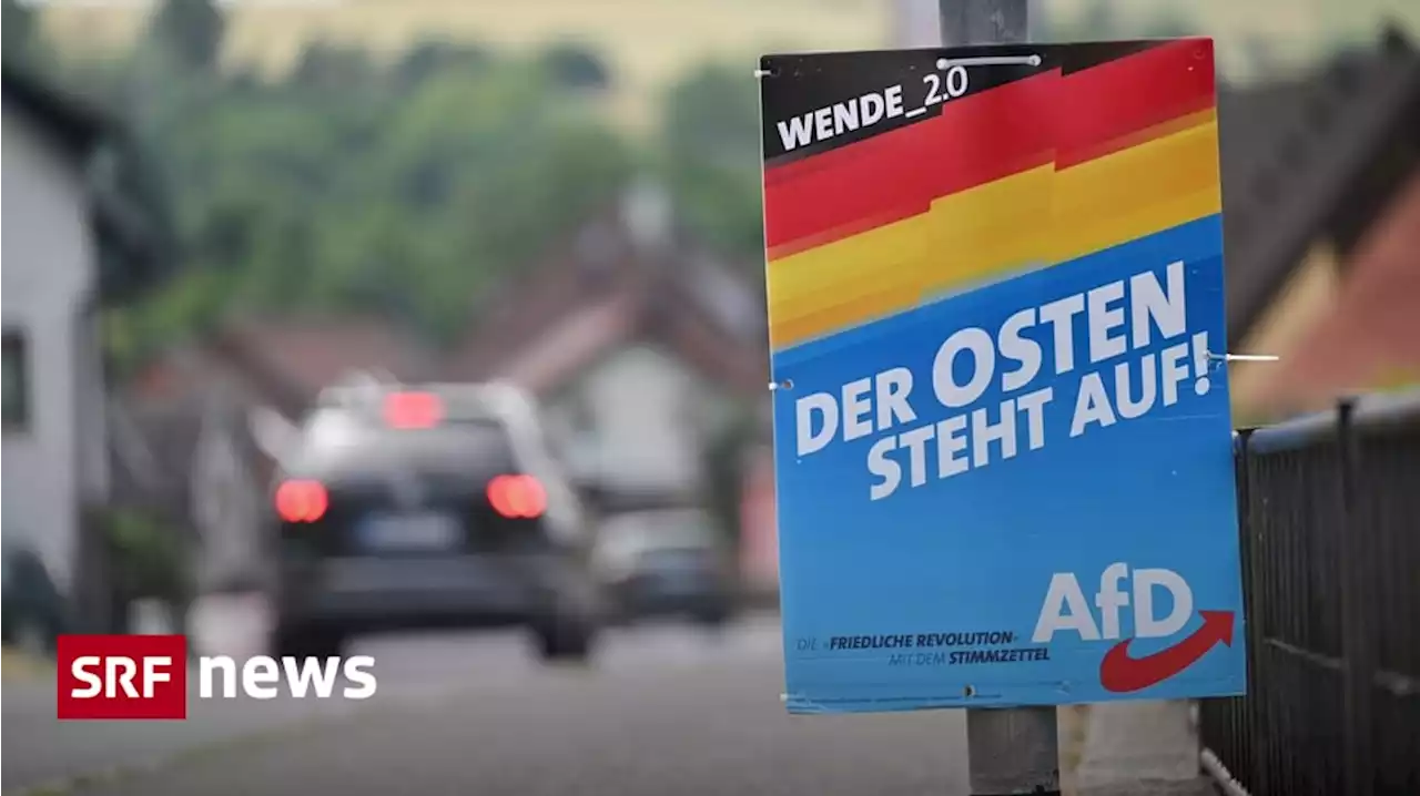 Umfragehoch der AfD im Osten - Immer mehr Deutsche schielen nach rechts