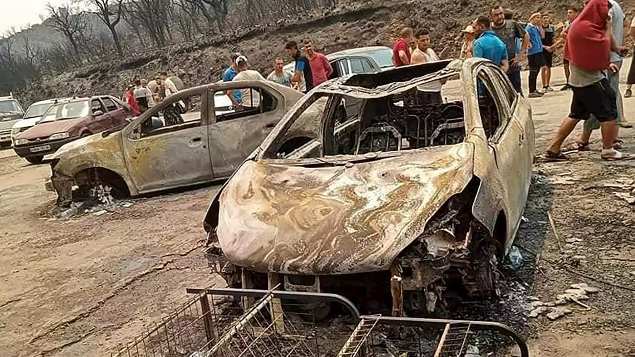 Feuer am Mittelmeerraum: Viele Tote bei Waldbränden in Algerien