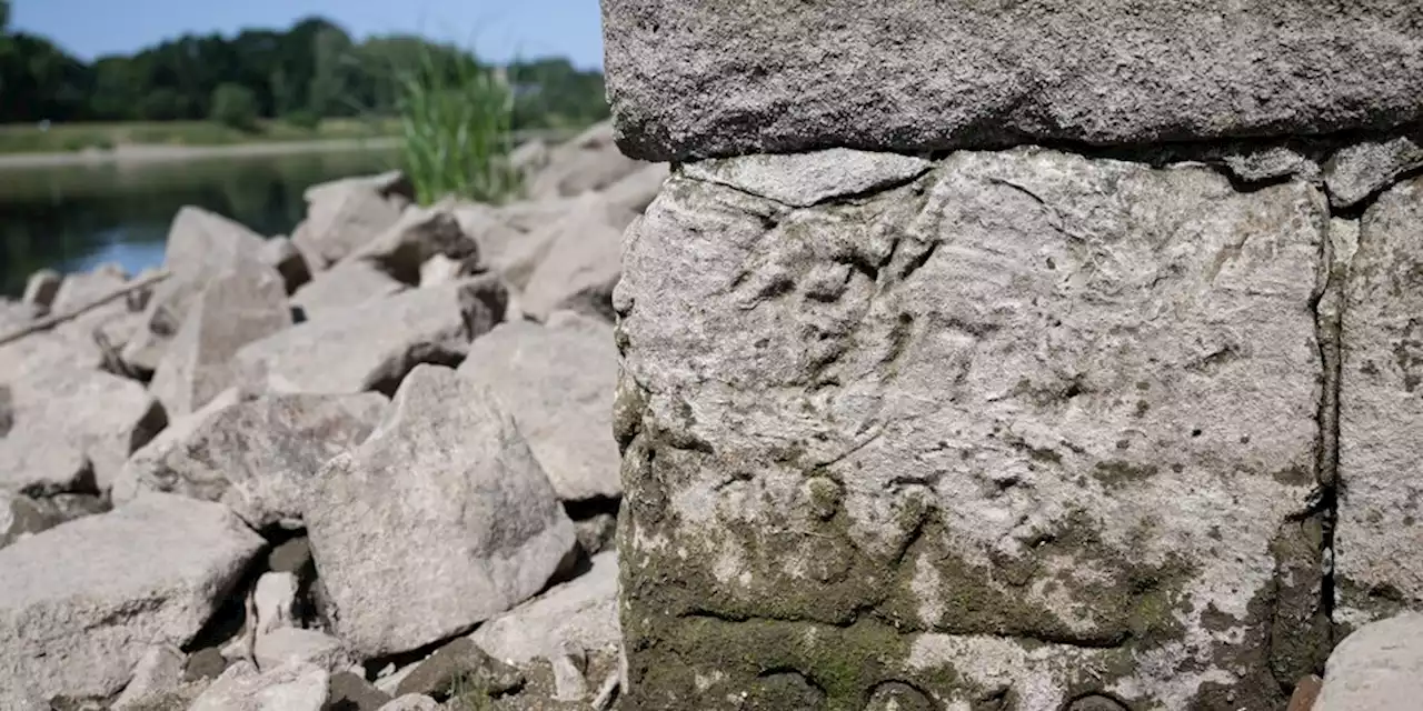 Überwachung der Elbe wegen Niedrigwasser: Schifffahrt und Fische in Gefahr