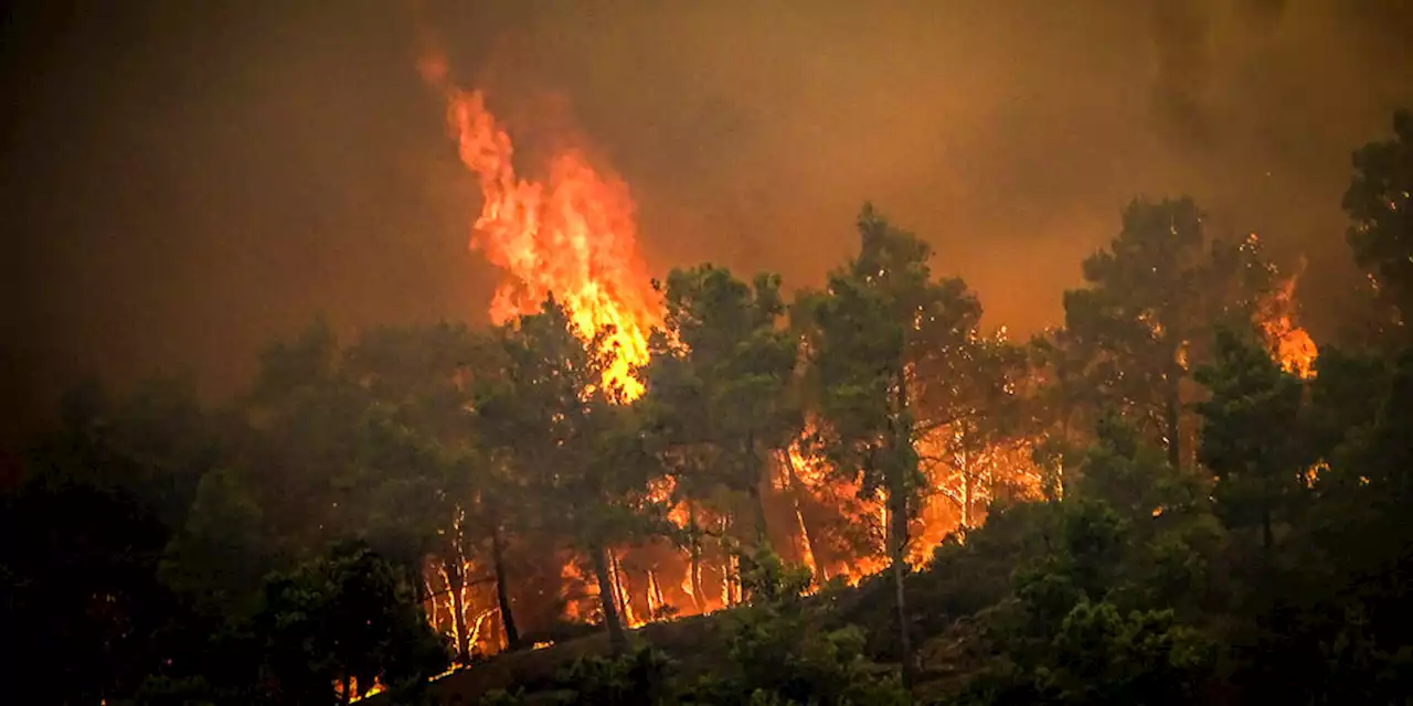 Waldbrände in Griechenland: „Im Krieg mit dem Feuer“