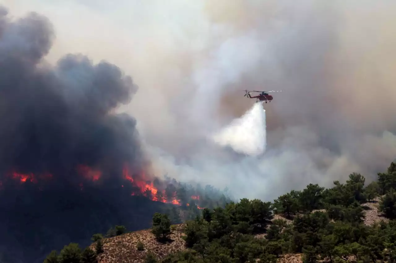 'Irresponsible' airlines flew tourists into wildfire zone