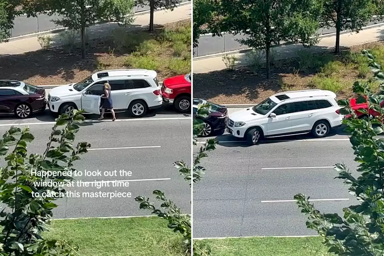 Watch as driver performs miracle parking escape - but people are divided