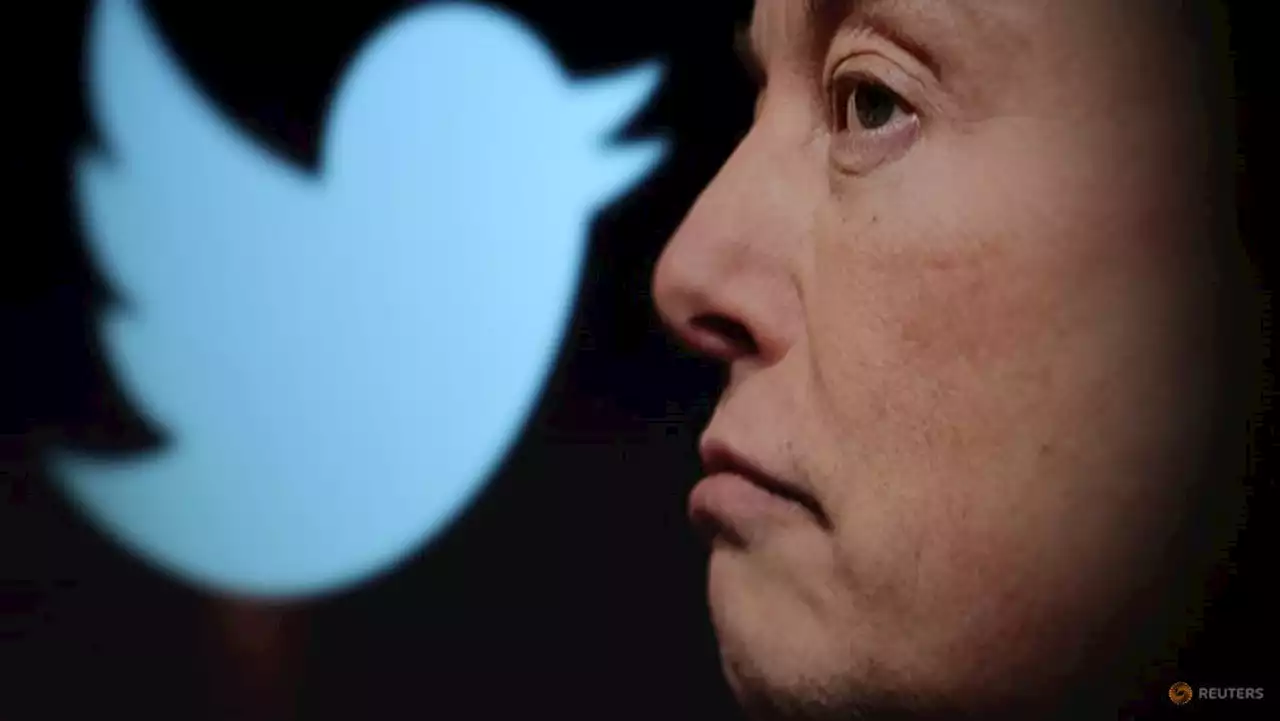 Elon Musk says Twitter's blue bird logo to be replaced by an X