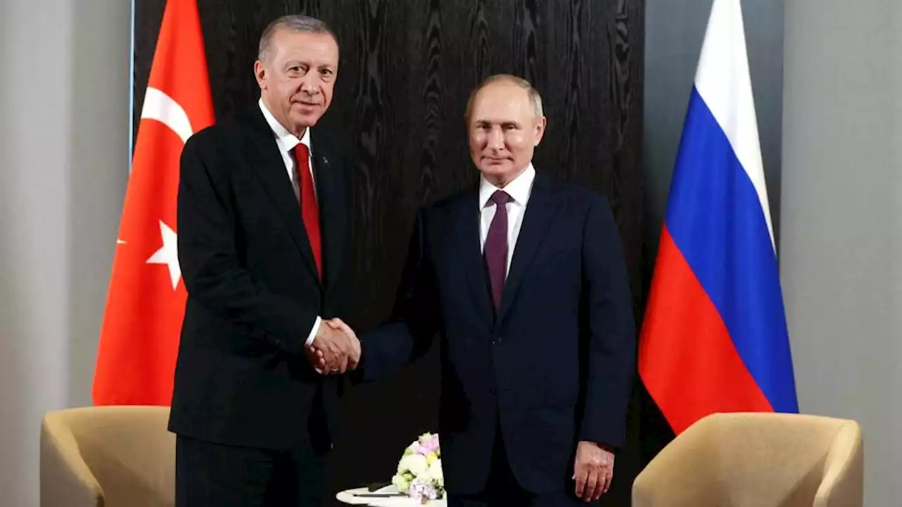 US hopes for success in Erdogan-Putin talks on restoring Grain Deal