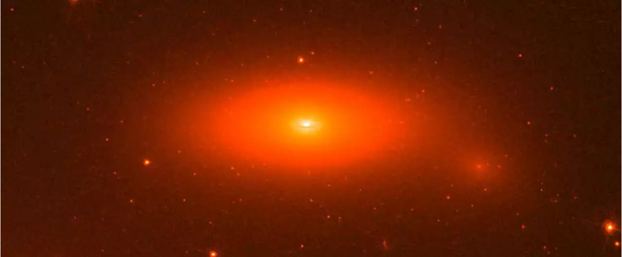 A Massive Galaxy With Almost No Dark Matter