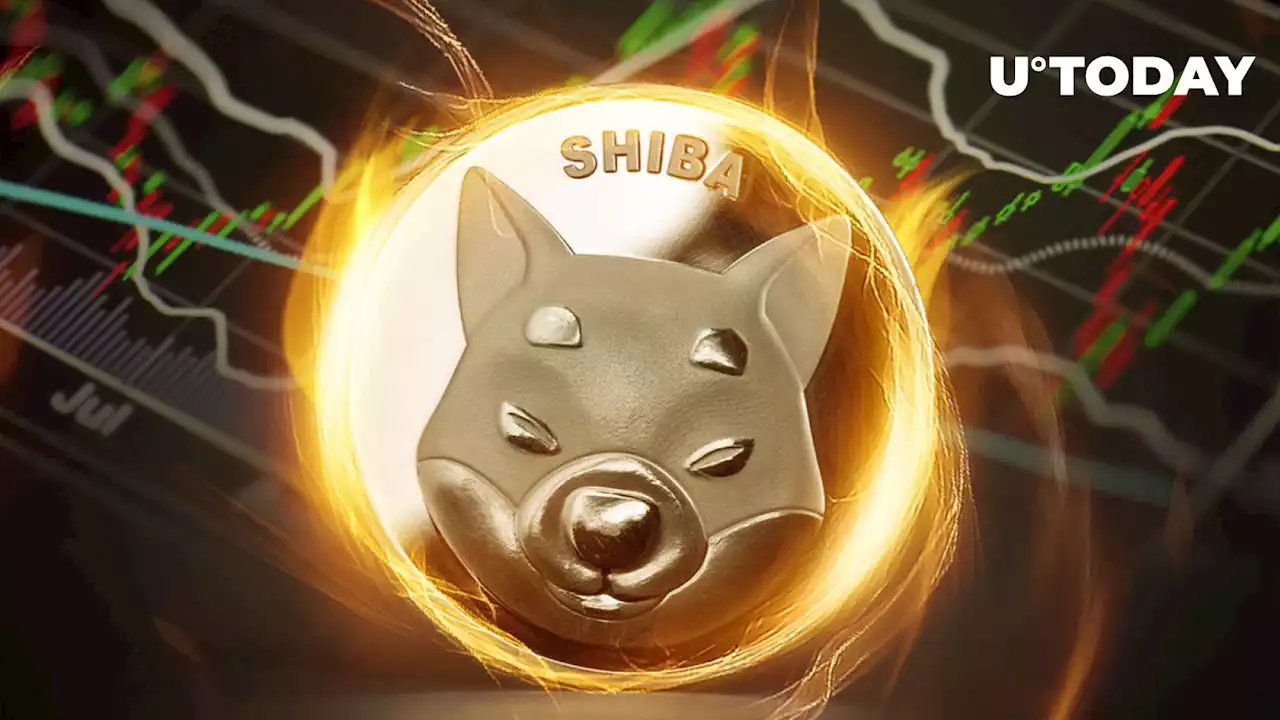 Here's Reason Why Massive SHIB Burns Failed to Impact Shiba Inu Price