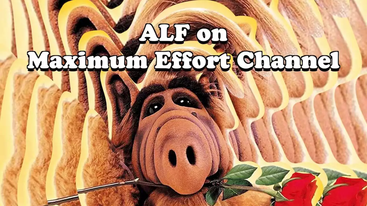 ALF is back thanks to Ryan Reynolds