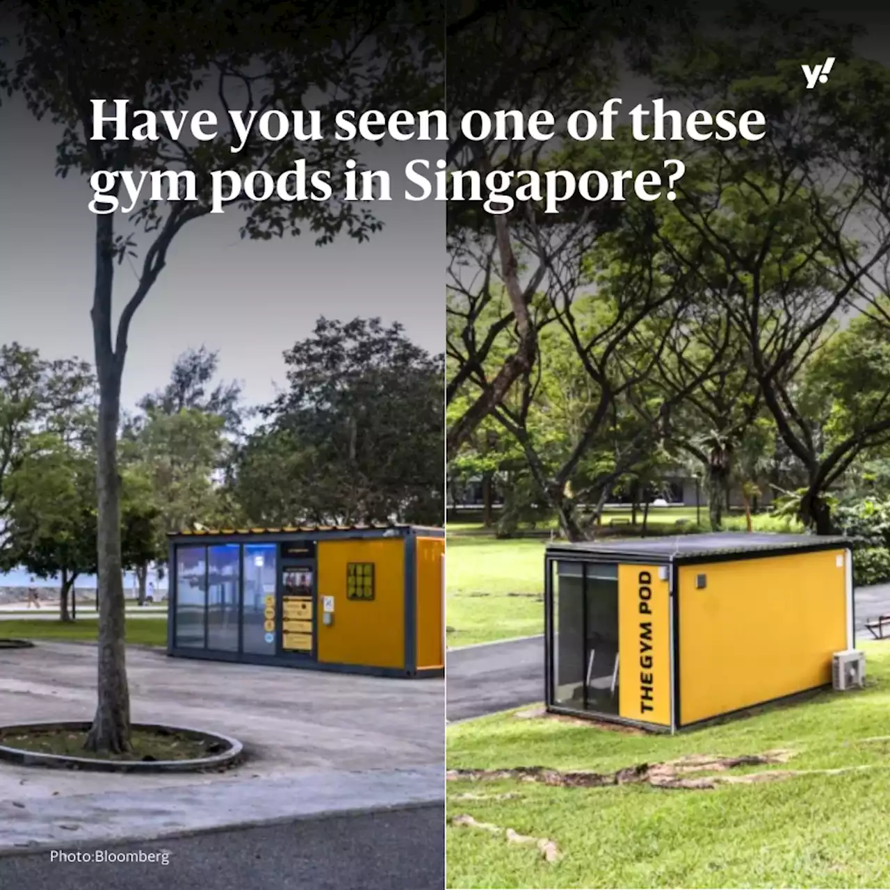 Singapore makes room for tiny gyms with private workouts