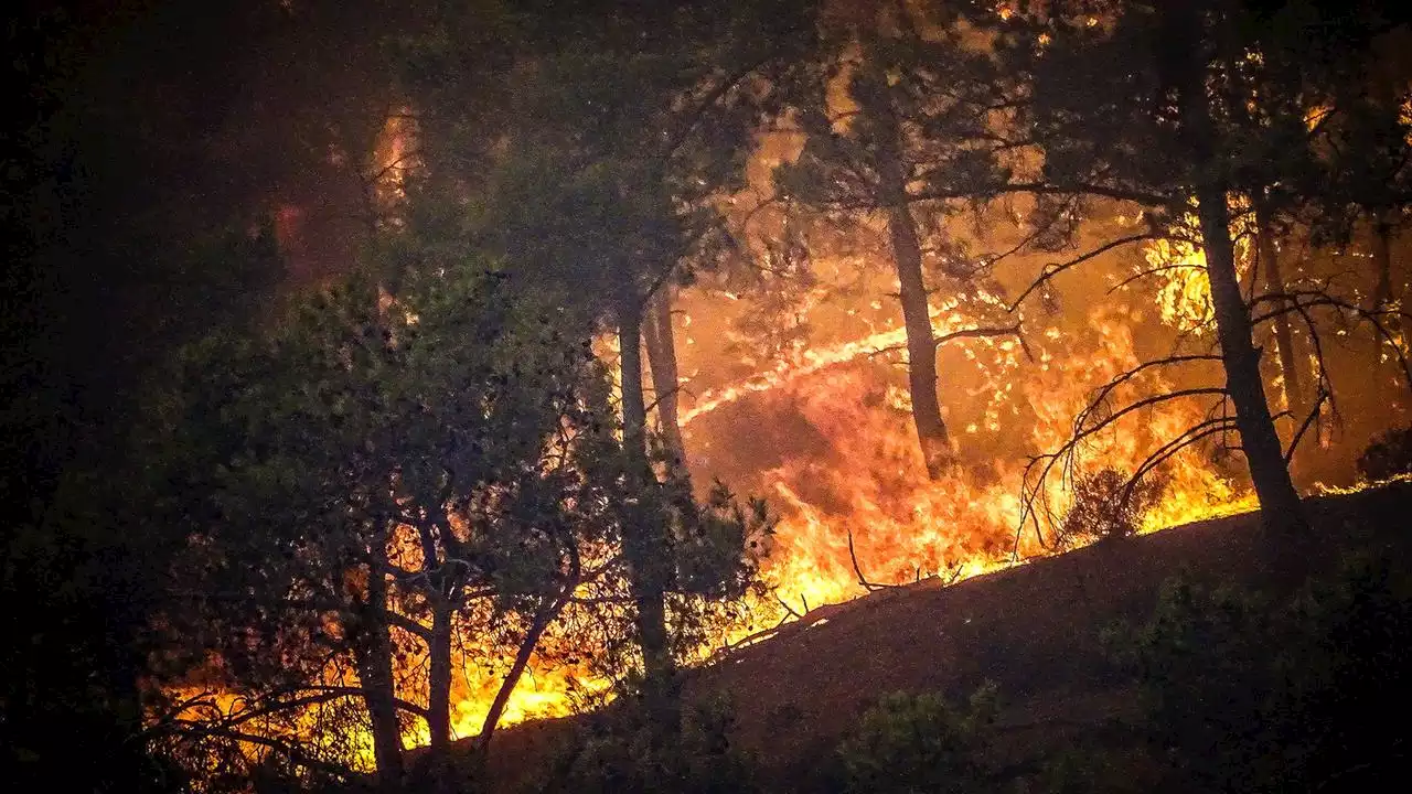 Mehr Urlauber evakuiert: Feuer auf Rhodos breiten sich aus