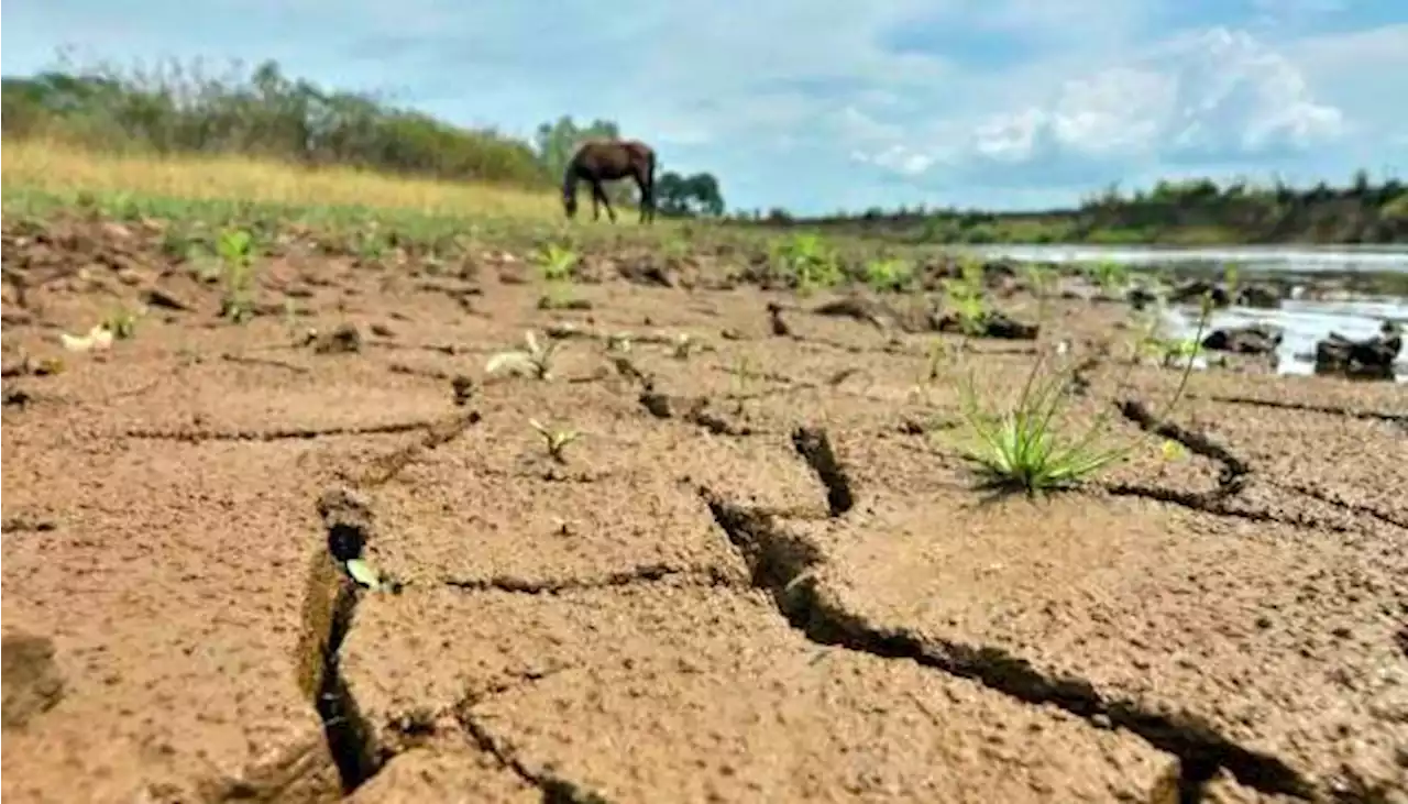 Ideam brindó recomendaciones para hacer frente al fenómeno de El Niño