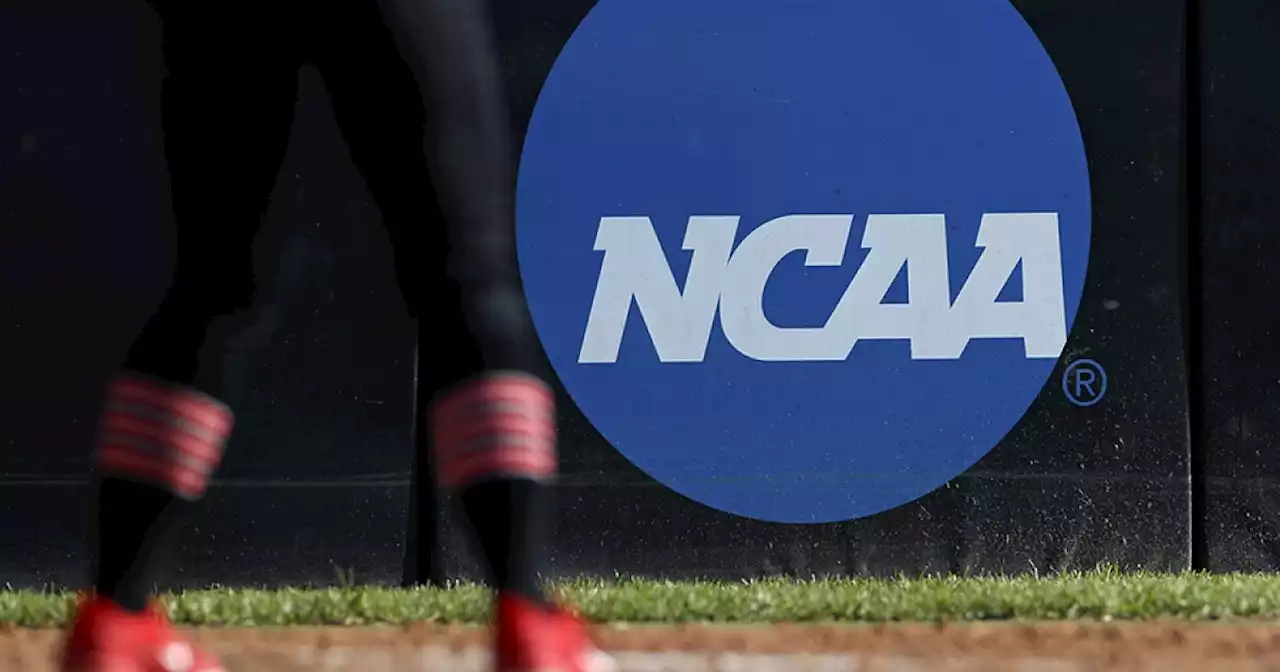 SDSU pitching coach Shaun Cole named head coach of Aztecs baseball team