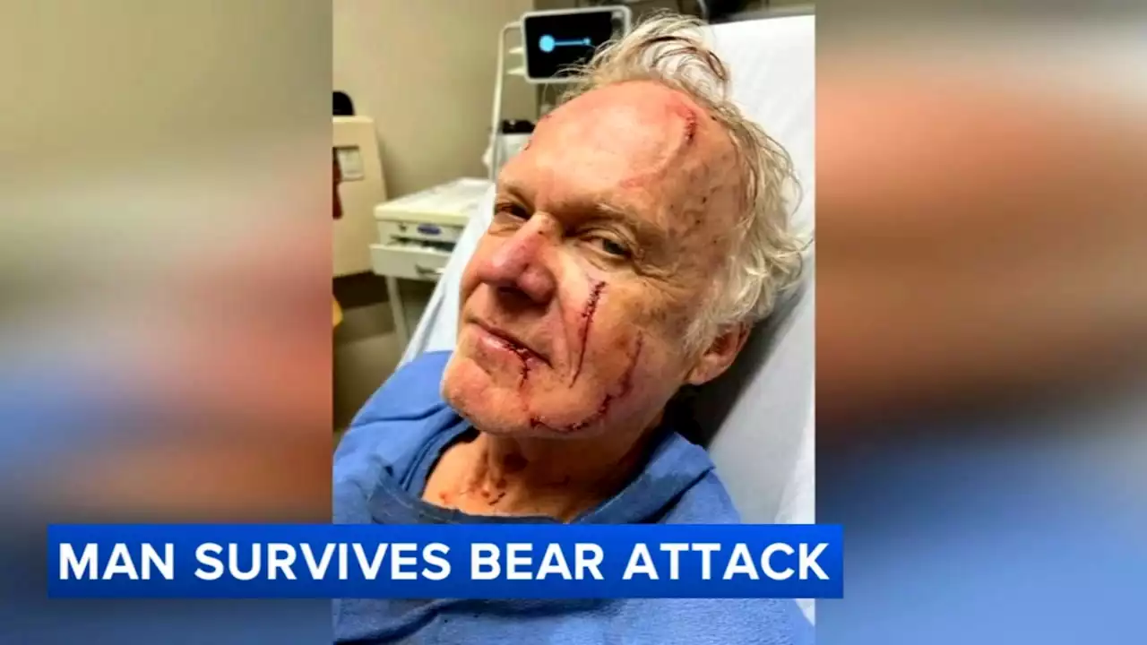 Runner survives harrowing, bloody encounter with momma bear protecting her cub