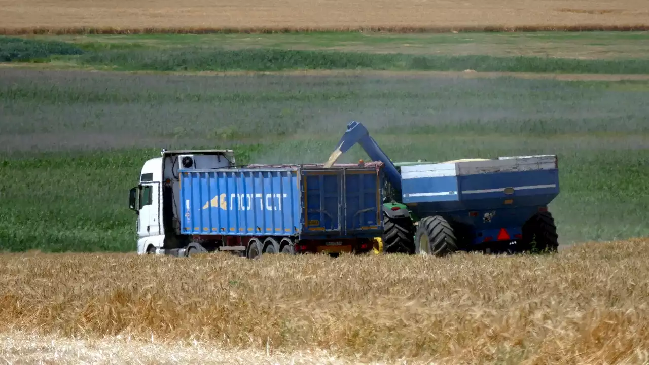 Última Hora Guerra Rusia Ucrania: Rusia ataca el sector agrícola ucraniano y destruye varios almacenes de grano