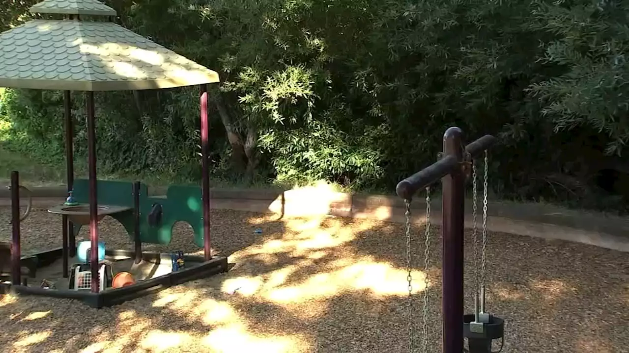 Novato police warn residents after 3 bears spotted at neighborhood park