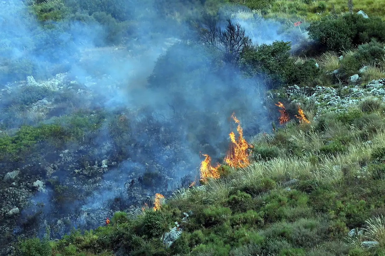 Incendi, notte di paura nel palermitano: abitazioni evacuate