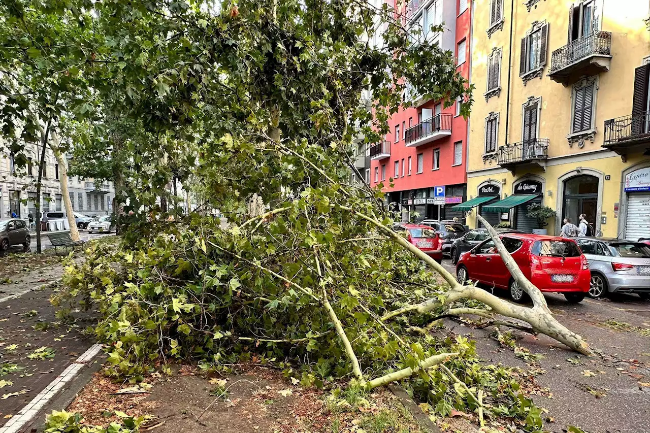 Meteo Milano, violento nubifragio nella notte: alberi caduti e tetti scoperchiati