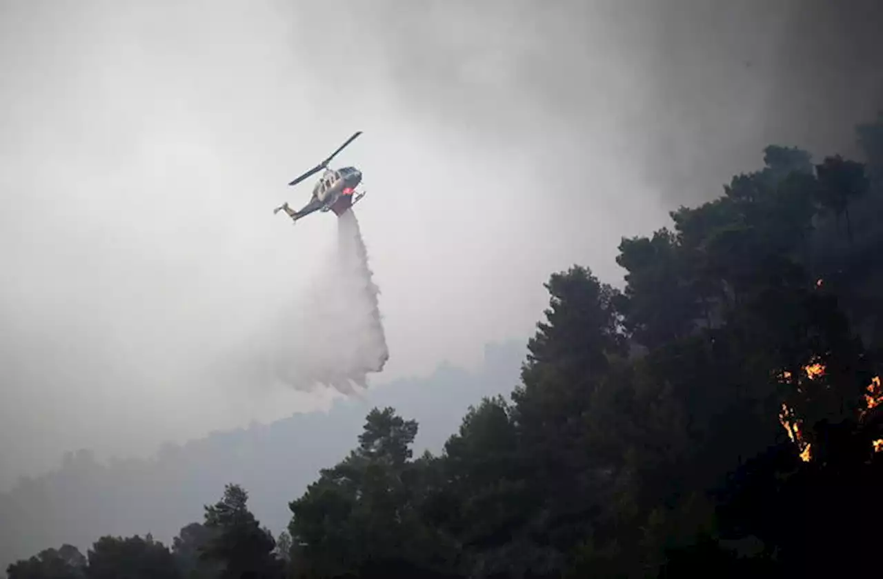 Grecia: dopo Rodi e Corfù, gli incendi colpiscono anche Eubea - Notizie - Ansa.it