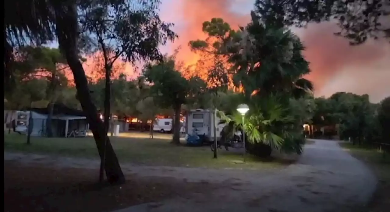 Incendio a Vieste, duemila persone evacuate da tre hotel - Notizie - Ansa.it