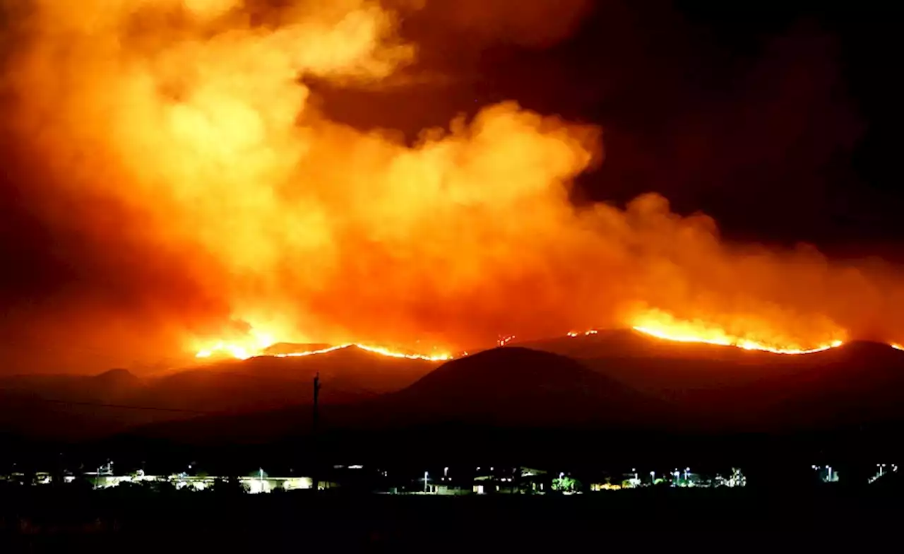 North Africa: Dozens of People Killed in Algeria Wildfires, Many Displaced