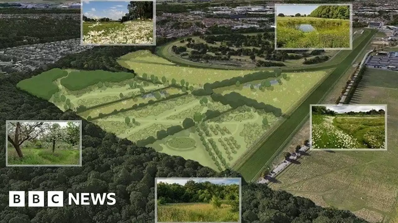 Doncaster 'habitat bank' plan aims to boost biodiversity