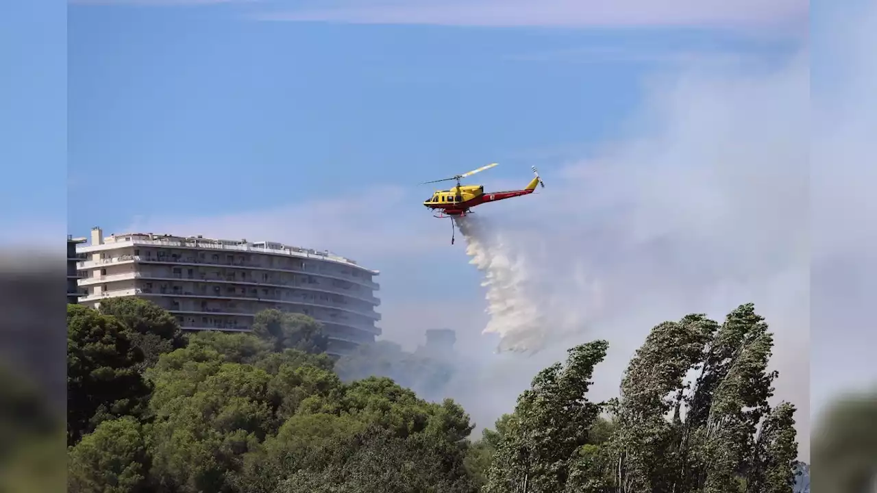 Cagnes-sur-Mer: le feu au bord de l'A8 fixé, la circulation toujours perturbée