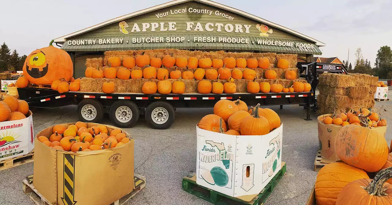 Iconic Ontario attraction known for pumpkins and pies is being torn down for housing