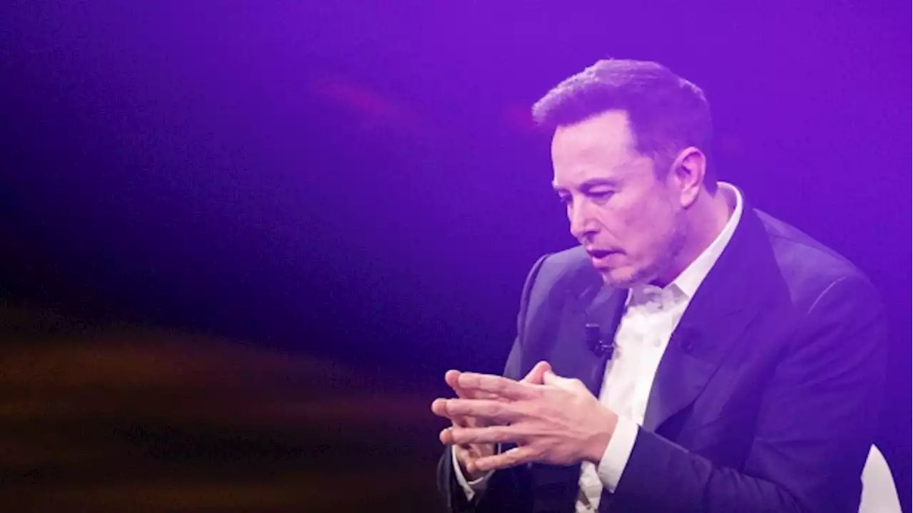 Musk declares fan-submitted 'X' new Twitter logo in abrupt shift - BNN Bloomberg