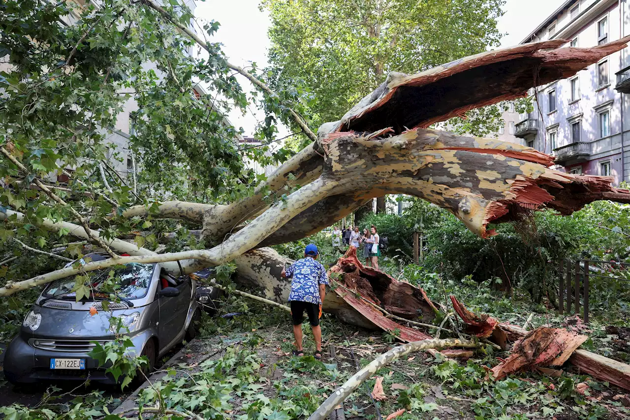 Tote bei Unwetter in Norditalien – Feuer wüten auf Sizilien