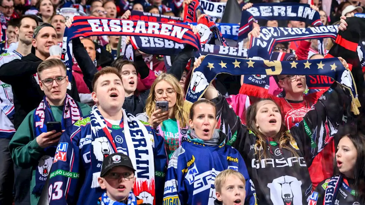 Fans schon wieder heiß auf die Eisbären