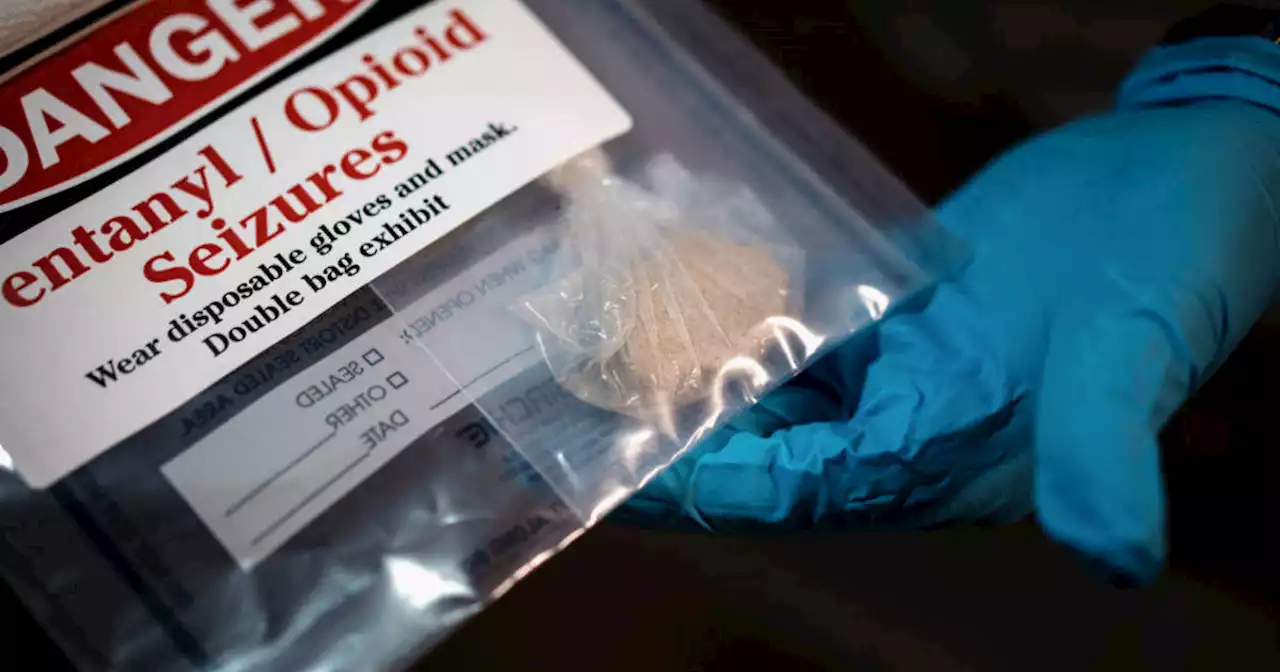 Cook County sees record number of opioid overdose deaths in 2022