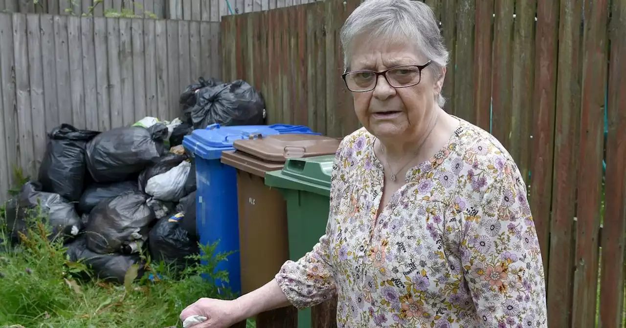 Gran battles fly swarms and rodents after rotting bin bags dumped outside home