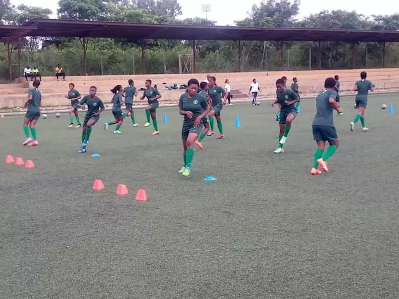 2023 WWC: How Super Falcons can beat Australia - Payne