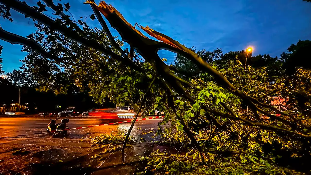 Unwetter in Deutschland: Starkregen und Stürme sorgen für Großeinsätze der Feuerwehr