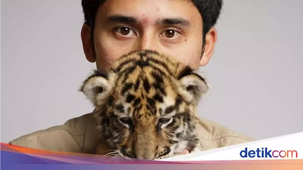 Kabar Duka dari Alshad Ahmad, Anak Harimaunya Mati